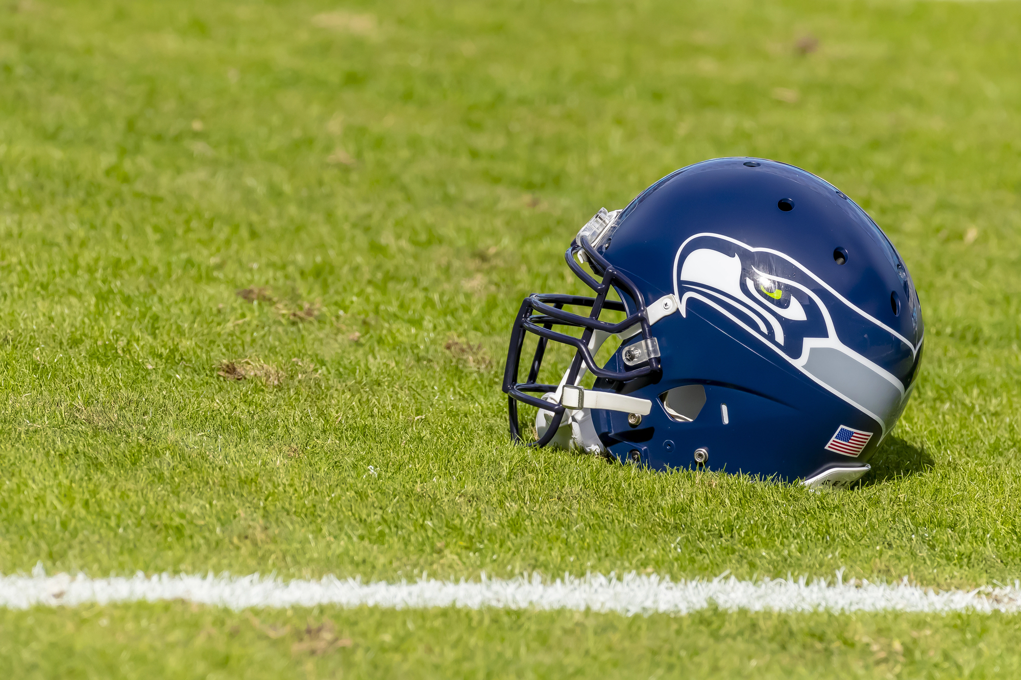 Seattle Seahawks mascot Blitz in a sparkling outfit celebrating a victory over the Kansas City Chiefs, with friendship bracelets in the foreground.